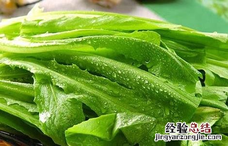 油麦菜的种植时间与方法 油麦菜种植技术和时间方法