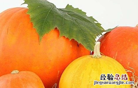 南瓜高产的种植方法 南瓜高产的种植方法图片