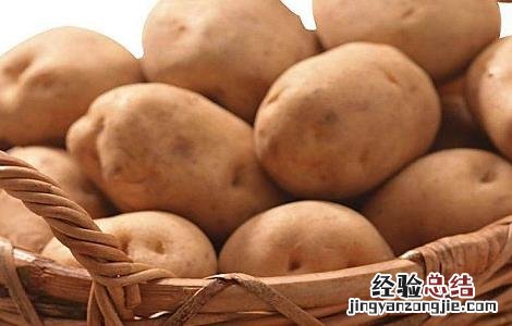 土豆的种植时间与方法视频教程 土豆的种植时间与方法