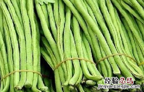 豆角种植时间及技术要点 豆角种植的时间与方法