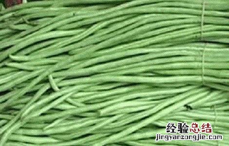 豆角种植时间及技术要点 豆角种植的时间与方法