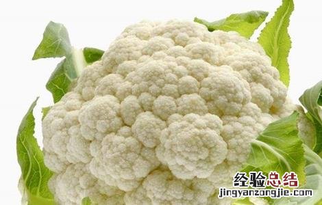 花椰菜的種植時間和種植方法 花椰菜的種植時間和種植方法图片