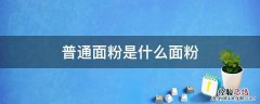 外面买的普通面粉是什么面粉 普通面粉是什么面粉