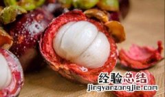 小玉山竹怎么养 山竹怎么养