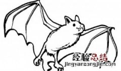 为什么蝙蝠喜欢进房间 蝙蝠为什么爱进屋