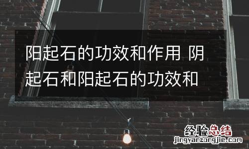 阳起石的功效和作用 阴起石和阳起石的功效和作用