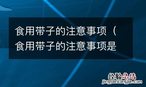 食用带子的注意事项是什么 食用带子的注意事项
