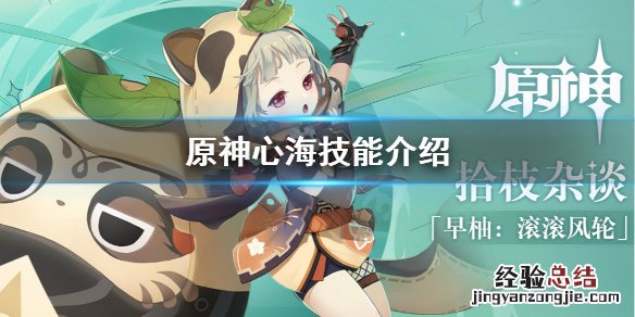 原神心海技能是什么 原神心海实战视频