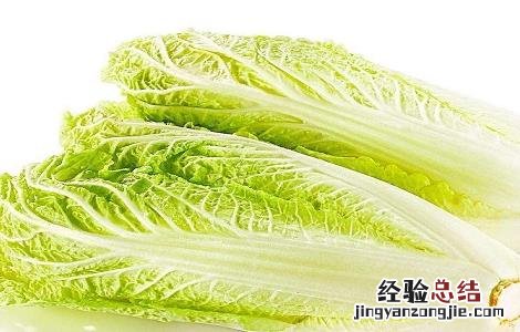 娃娃菜种植时间和方法 娃娃菜种植时间与方法