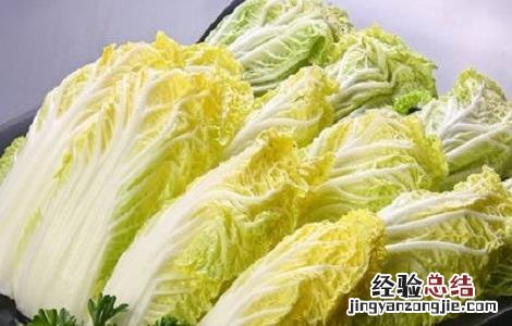 娃娃菜种植时间和方法 娃娃菜种植时间与方法