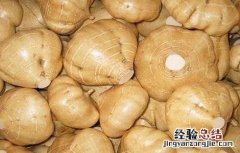 凉薯怎么种植方法如下 凉薯的种植方法与时间