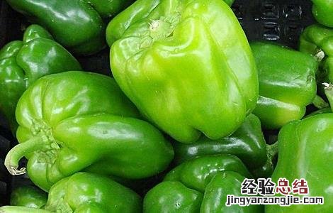 不辣的辣椒是什么椒 不辣菜椒的简介及图片欣赏