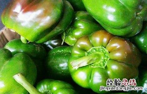 不辣的辣椒是什么椒 不辣菜椒的简介及图片欣赏