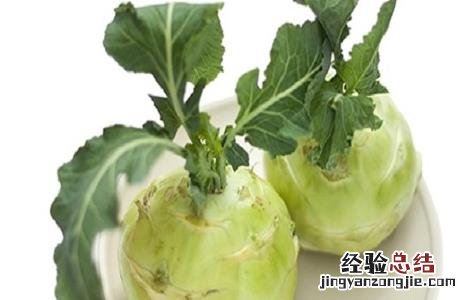 苤蓝怎么种植 苤蓝怎么种植,生长周期是多长时间?