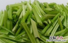 冬季大棚芹菜管理技术 冬季大棚芹菜病害防治