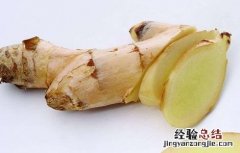 生姜常见虫害及防治方法 生姜常见虫害及防治方法图片