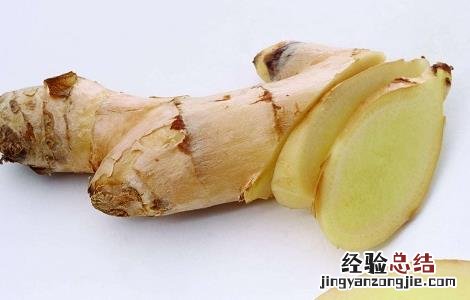 生姜常见虫害及防治方法 生姜常见虫害及防治方法图片