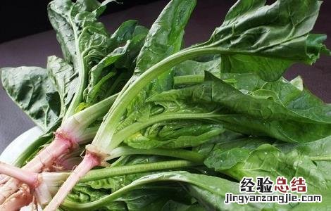 菠菜叶子发黄原因及防治方法视频 菠菜叶子发黄原因及防治方法