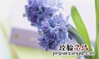 抖音大气又低调的名字 大气又低调的名字