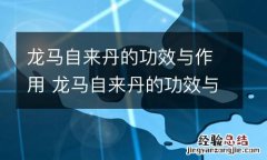 龙马自来丹的功效与作用 龙马自来丹的功效与作用是什么