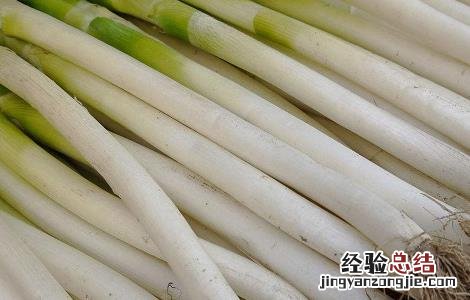 大葱高产的原因 大葱高产的原因分析