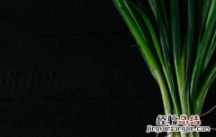 大葱高产的原因 大葱高产的原因分析