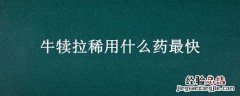 牛犊拉稀用什么药最快治疗 牛犊拉稀用什么药最快