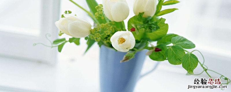 没用过的猫砂可以拌土养花吗 猫砂可以拌土养花吗