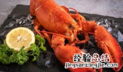 龙虾放的尿方法 波士顿龙虾放的尿方法