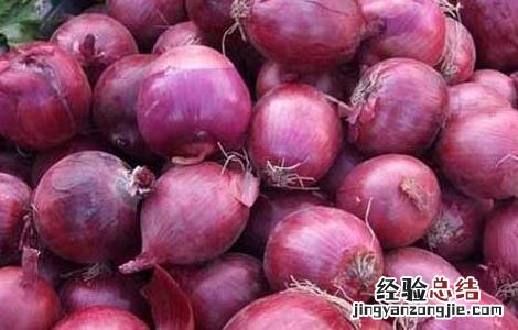 洋葱种子价格及种植方法 洋葱种子价格及种植方法图片