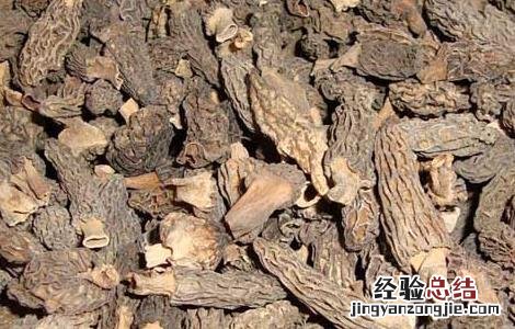 羊肚菌真的有毒吗 羊肚菌真的有毒吗