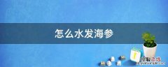 怎么水发海参 海参如何快速泡发