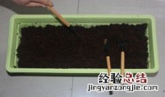 天台种菜用什么泥土好 天台菜园用什么泥土