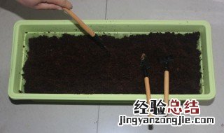 天台种菜用什么泥土好 天台菜园用什么泥土
