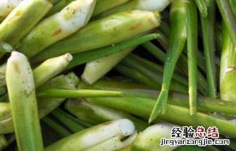 茭白种子价格及种植方法 茭白种苗价格