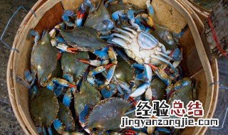 清蒸梭子蟹为什么发苦 清蒸梭子蟹为什么很咸