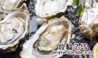 生蚝清蒸做法教程图解 生蚝清蒸做法教程