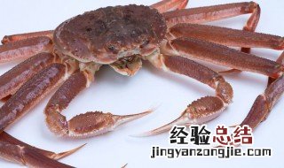 怎么挑梭子蟹 怎么挑梭子蟹肥不肥