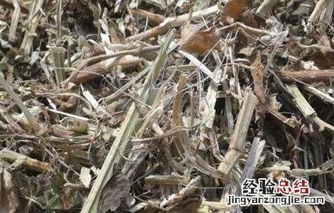 花生秧有什么用途与功效 花生秧有什么用途