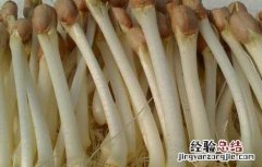 花生芽苗菜的种植方法技巧集锦 花生芽苗菜的种植方法