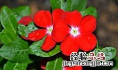 每个季节代表什么? 每个季节代表着什么
