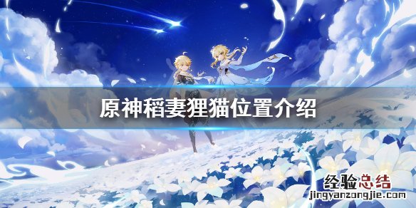 原神稻妻狸猫在哪里 原神稻妻猫任务