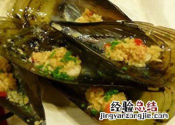 带子简介 带子的带子