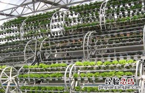 无土栽培营养液配方大全 无土栽培营养液配方大全图片