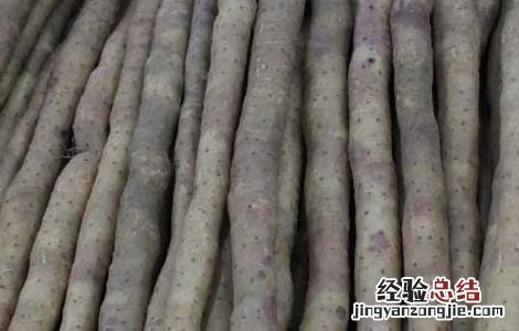 铁棍山药发芽了还能吃吗 山药发芽了还能吃吗