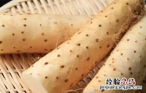 铁棍山药发芽了还能吃吗 山药发芽了还能吃吗