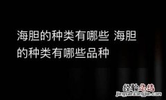 海胆的种类有哪些 海胆的种类有哪些品种