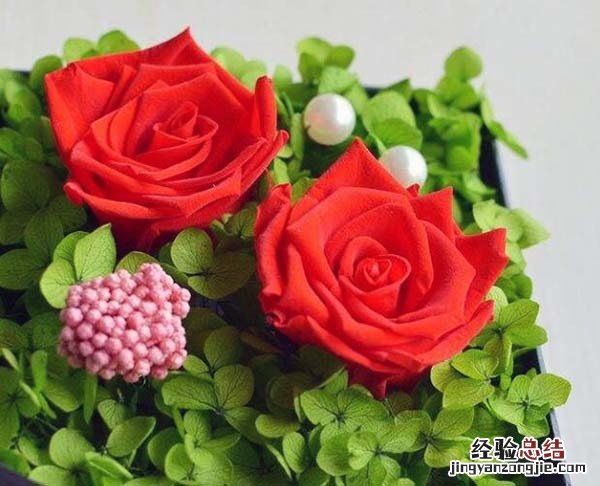 结婚纪念日送什么花 长辈结婚纪念日送什么花