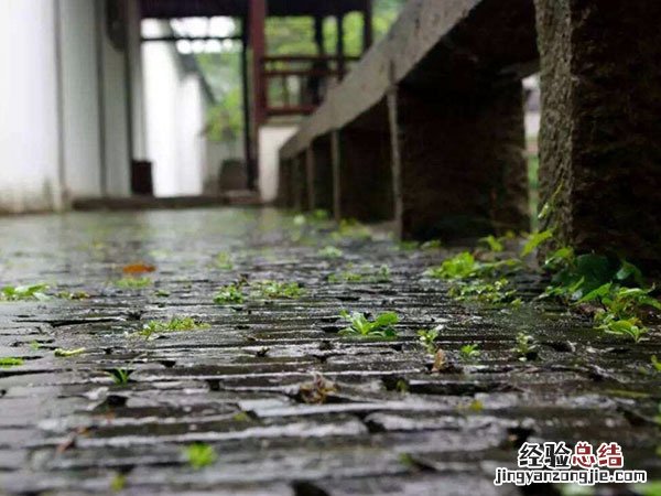 梅雨天气房间怎么除湿 梅雨天气房间怎么除湿最好