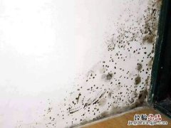 梅雨天气房间怎么除湿 梅雨天气房间怎么除湿最好